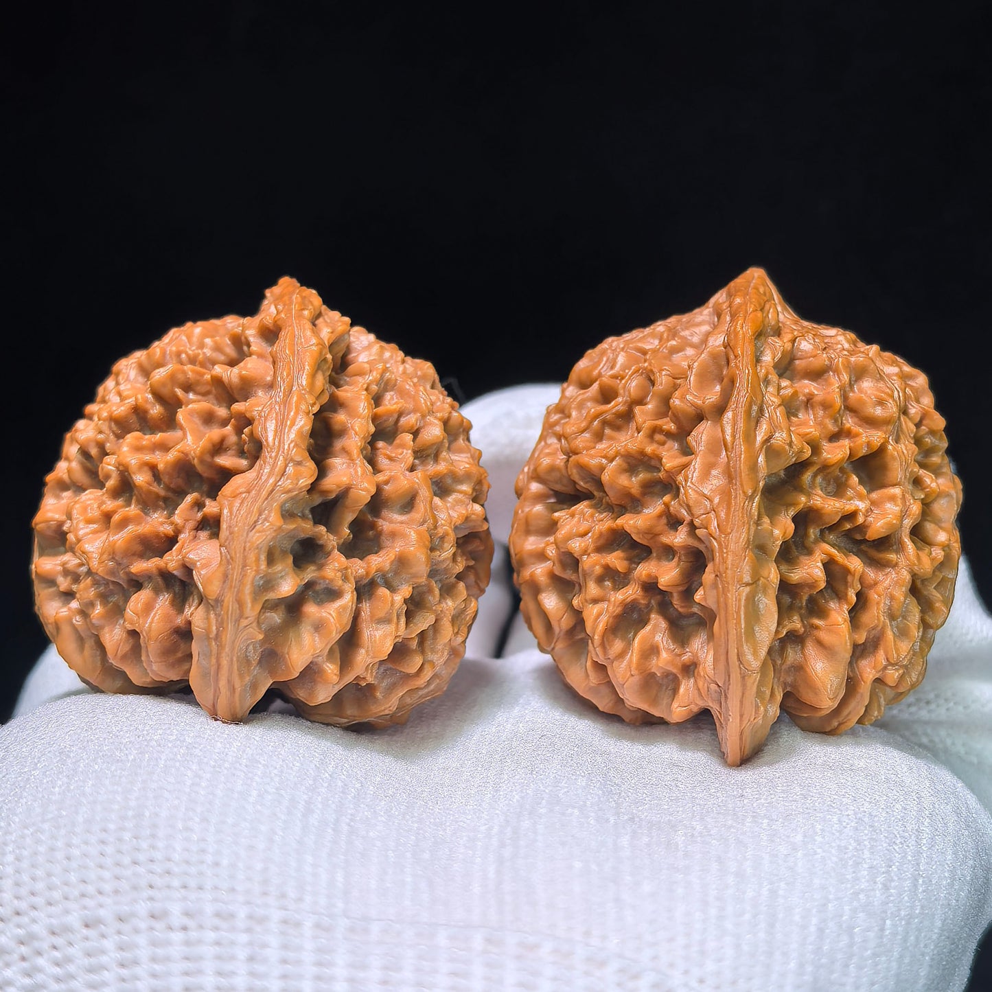 The "Angel Wings Starry Sky" Perfectly Balanced Boutique Pair | 42.0mm x 41.0mm | MTX-1202C