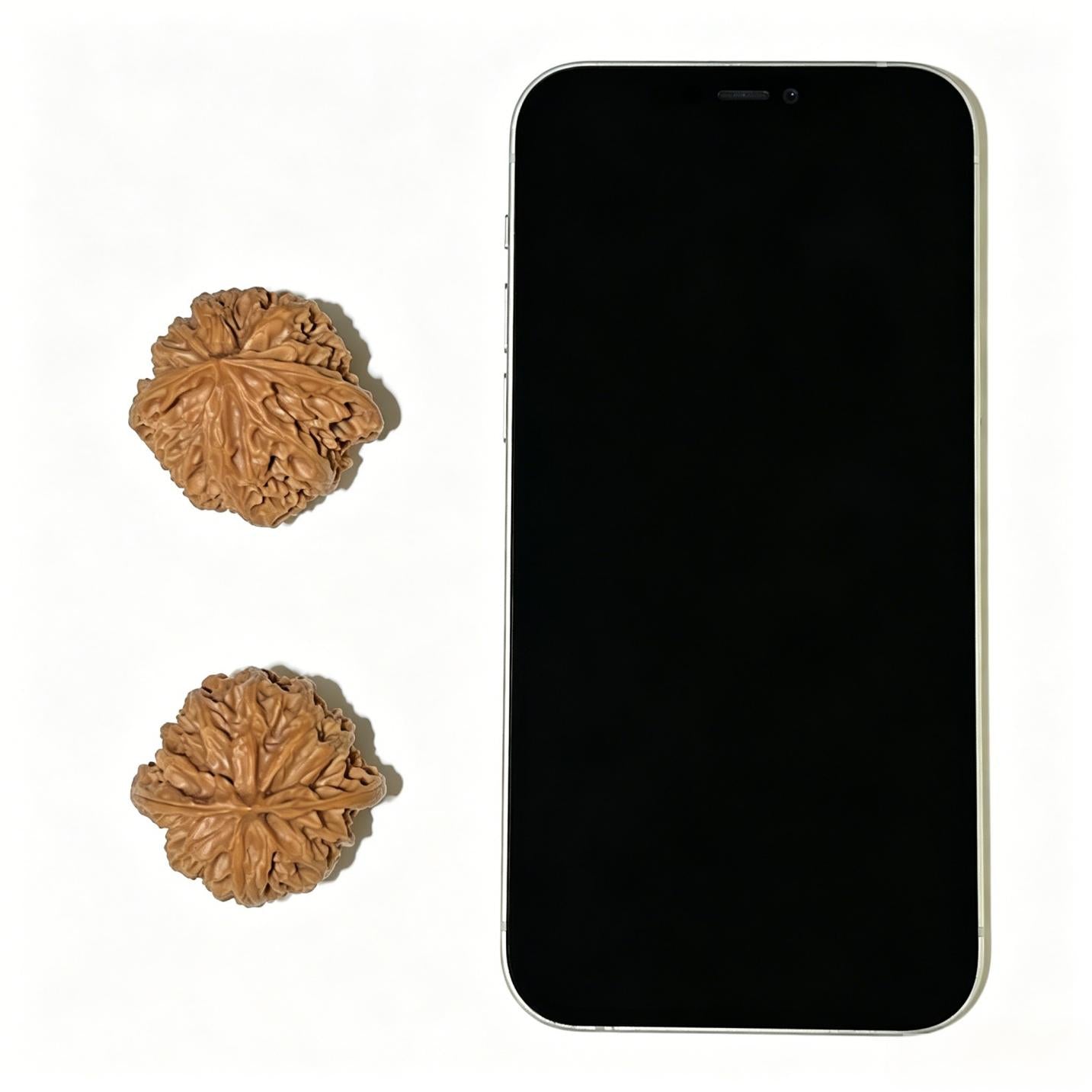 "Apple Garden" Pingguoyuan Wenwan Walnuts Pair | 37.0mm x 34.0mm | PGY-1103