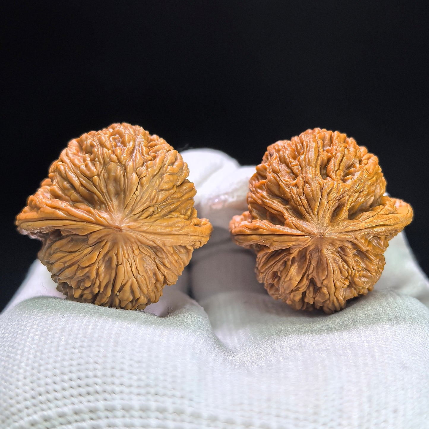 "Pocket Ruby" Xiuzhen Hongbaoshi Wenwan Walnuts Pair | 33.0mm x 33.0mm | HBS-1402