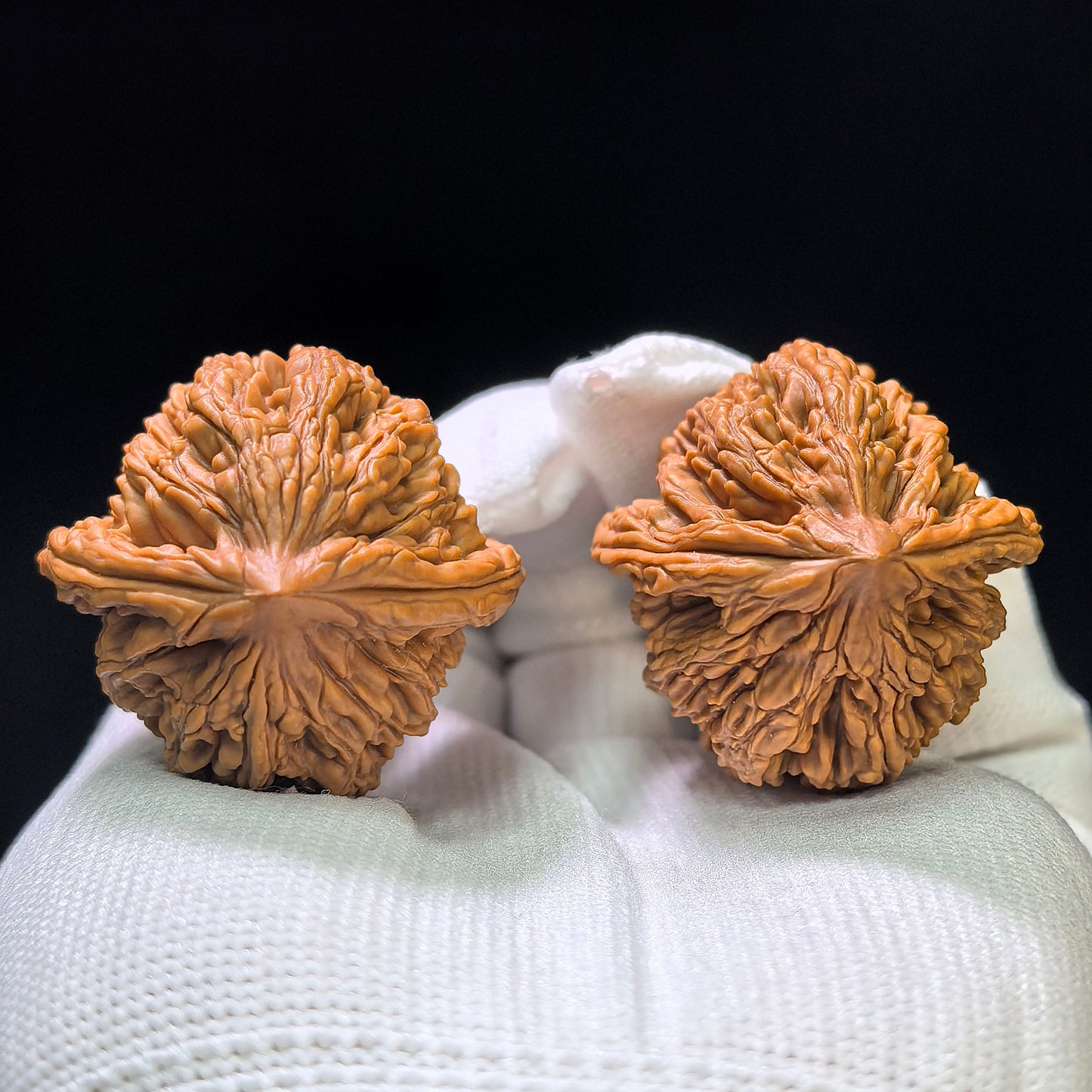 "Wild Cultivar" Yesheng Wenwan Walnuts (Pair) | 34.0mm x 36.0mm | Stock ID: YS-1101