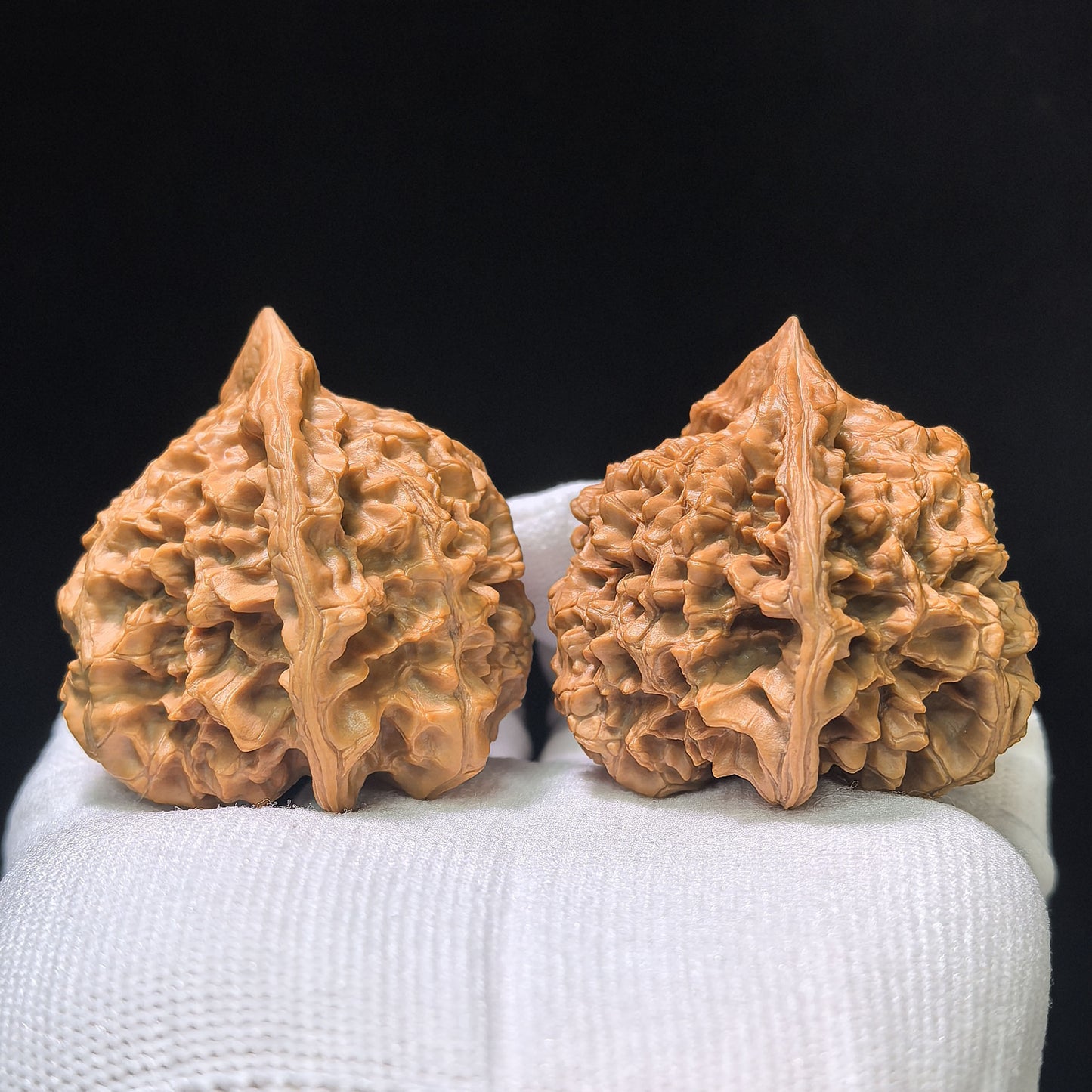 The Monumental "Kylin Pattern Turtle Shell Seated Buddha" Qilinwen Wuguibei Zuofo Collector Piece | 48.0mm x 44.0mm | QLWWGB-401E
