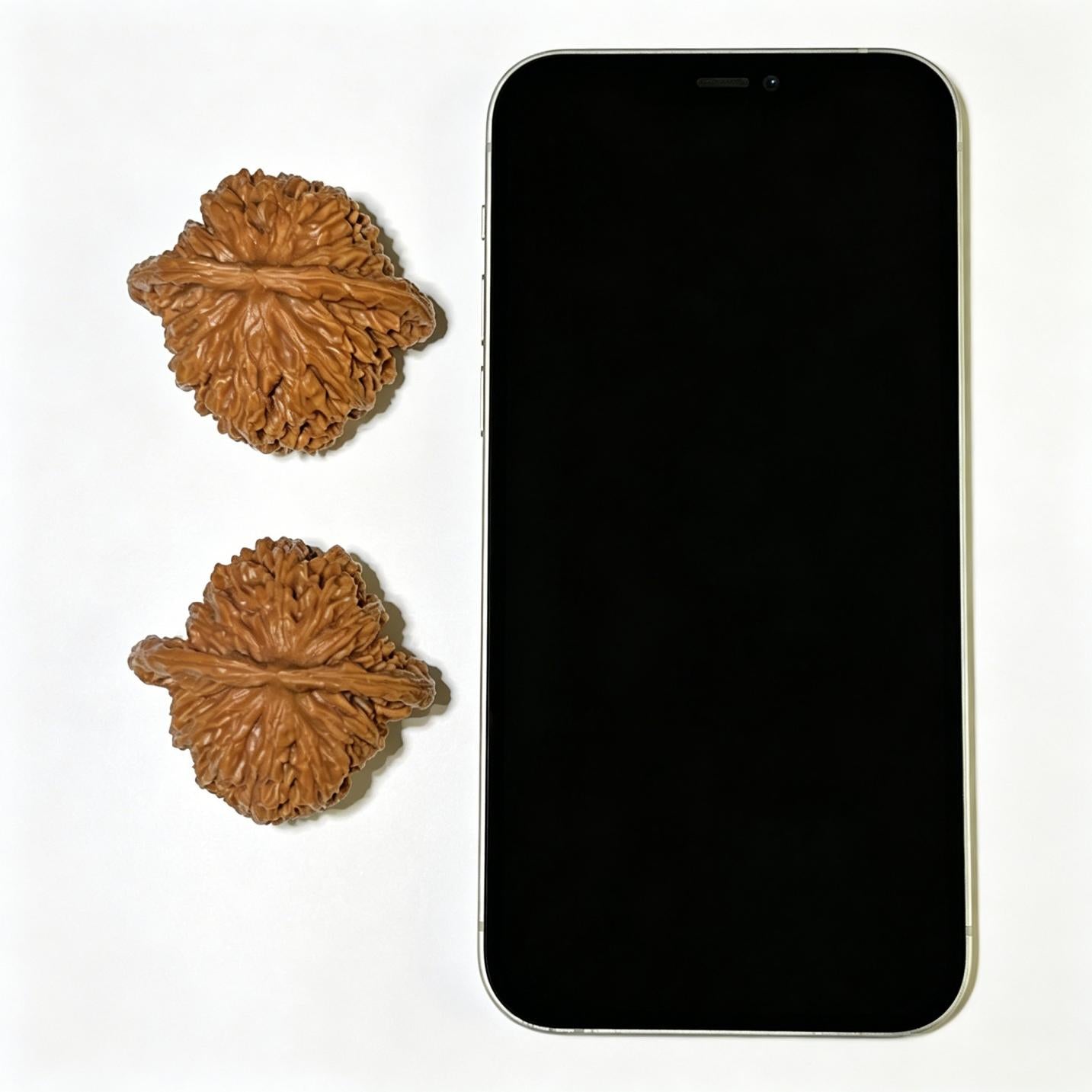 "Four Towers" Sizuolou Lion Head Wenwan Walnuts Pair | 44.0mm x 41.0mm | SZL-1107