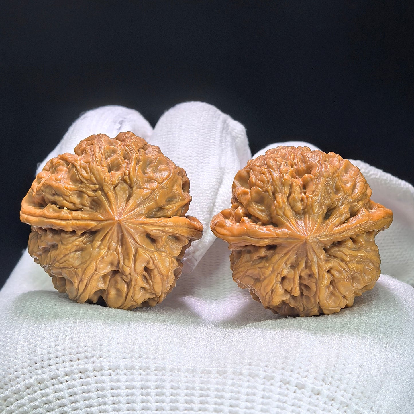 "Rain Flower Stone" Yuhuashi Hand-Twist Shou Nian Wenwan Walnuts (Pair) | 31.0mm x 31.0mm | Stock ID: YHS-1404