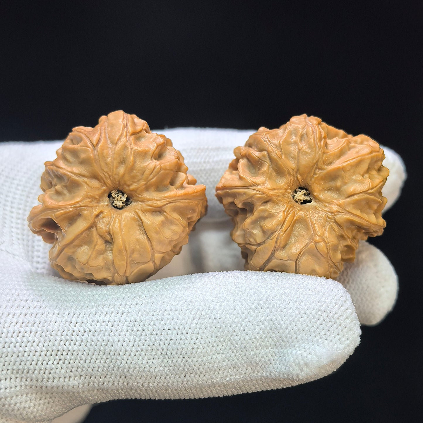 "Pocket Imperial Jade Seal Vulture" Yuxi Zuoshandiao Special Pocket Mutation Wenwan Walnuts Pair | 31.0mm x 32.0mm | YSZSD-C231E