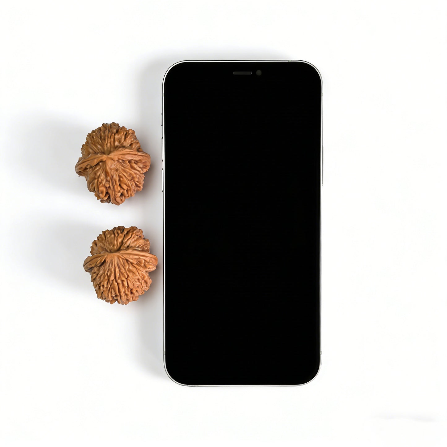 The "Meteorite Ingot" (Yun Shi Yuan Bao) Pair | 33.0mm x 35.0mm | YSYB-01