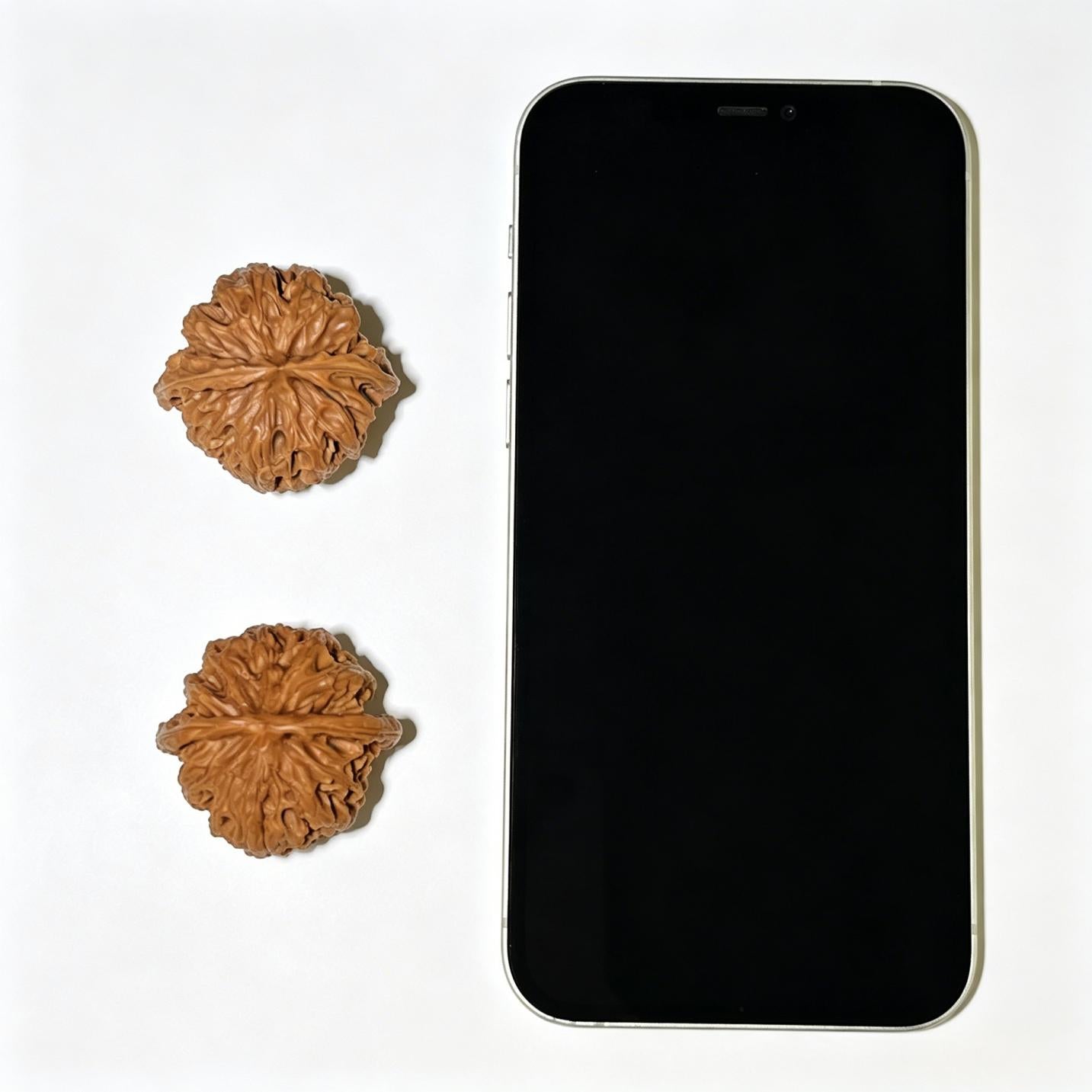 "Apple Orchard" Pingguoyuan Wenwan Walnuts Pair | 36.0mm x 35.0mm | PGY-1102