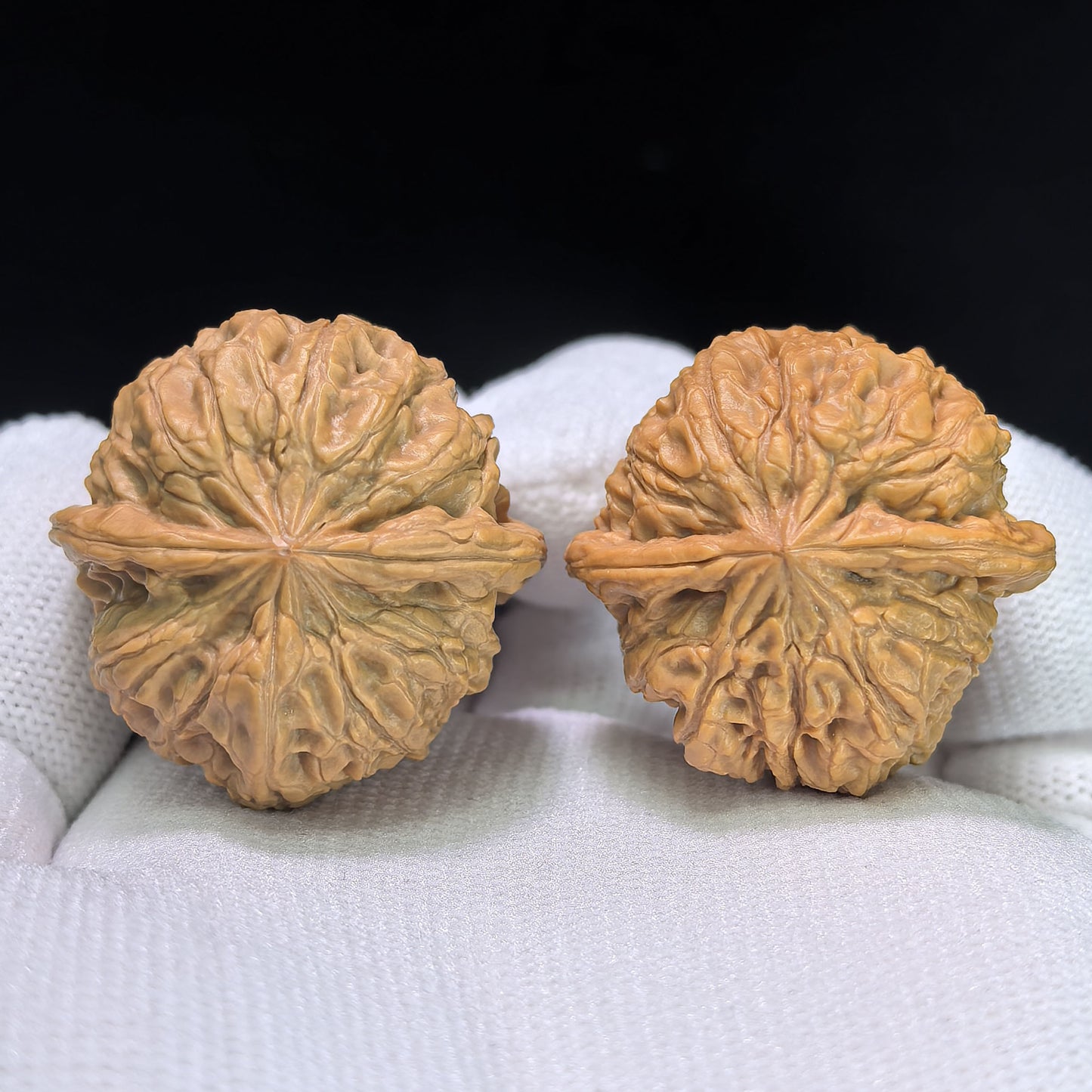 "Rain Flower Pebble" Yuhuashi YHS-1105 Pocket-Sized Wenwan Walnuts Pair | 32.0mm x 32.0mm | YHS-1105