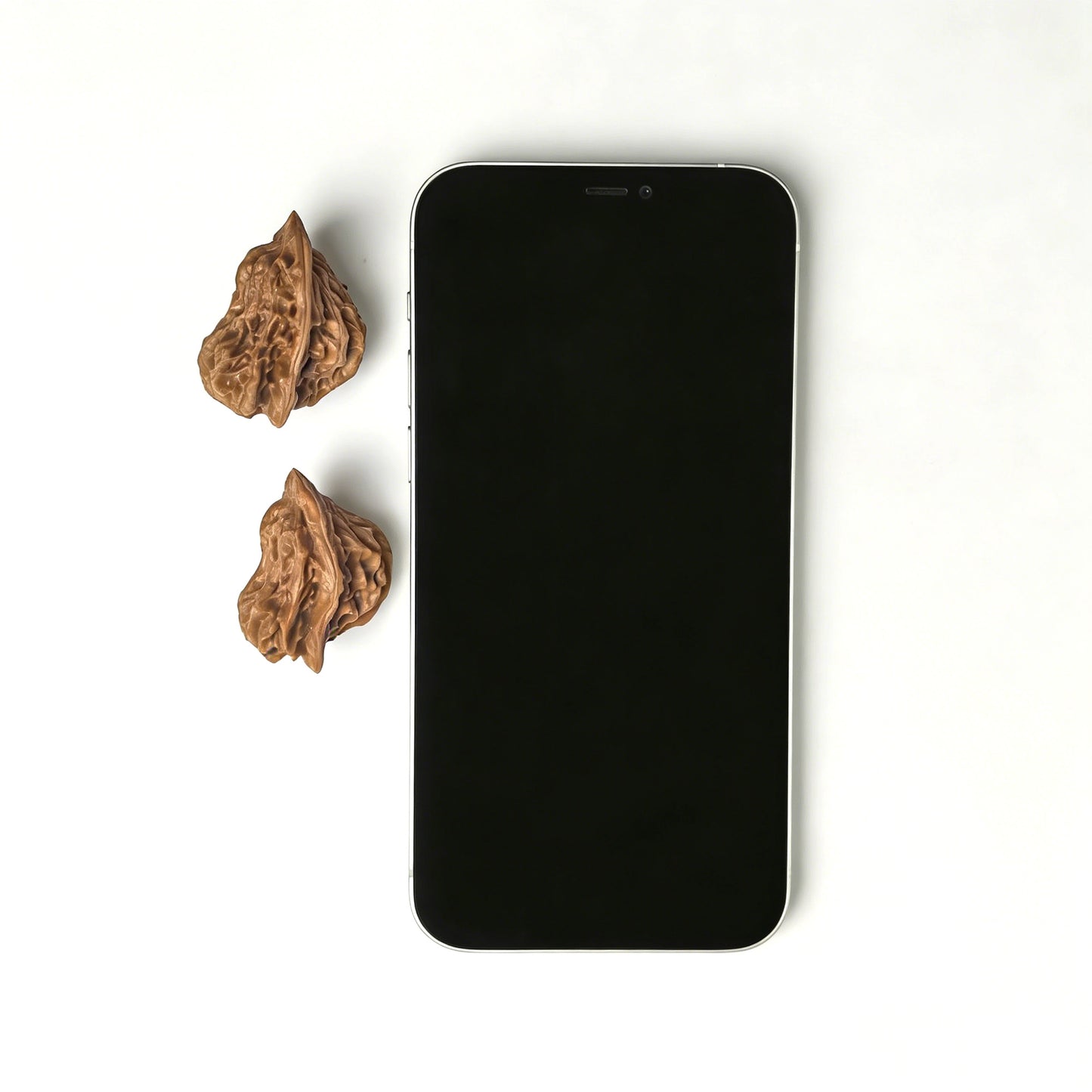 The "Irregular Little Bird" (Yi Xing Xiao Niao) Pair | 25.0mm x 30.0mm | YXXL-07