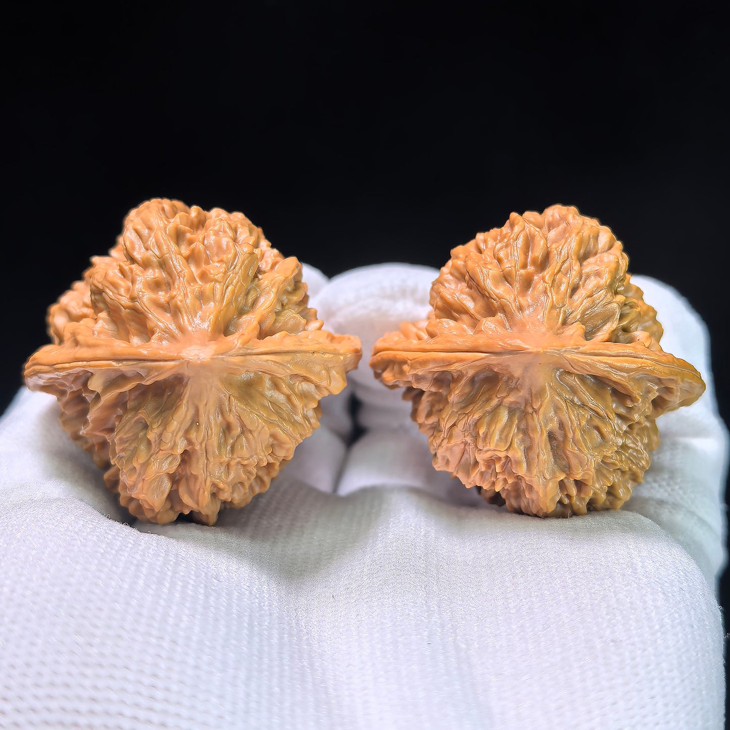 The "Gecko x Arhat Head" (Bi Hu x Luo Han Tou) Hybrid Pair | 41.0mm x 39.0mm | BHLHT-702