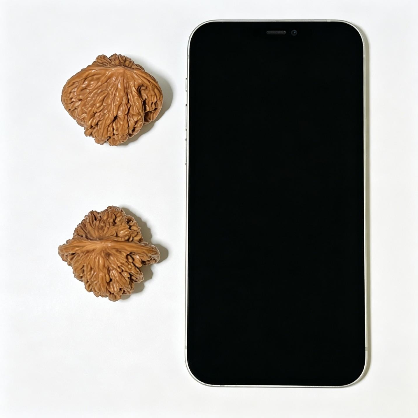 "Wheat Ear Tiger Head" Maisui Hutou Wenwan Walnuts (Pair) | 36.0mm x 39.0mm | Stock ID: MSHT-1107