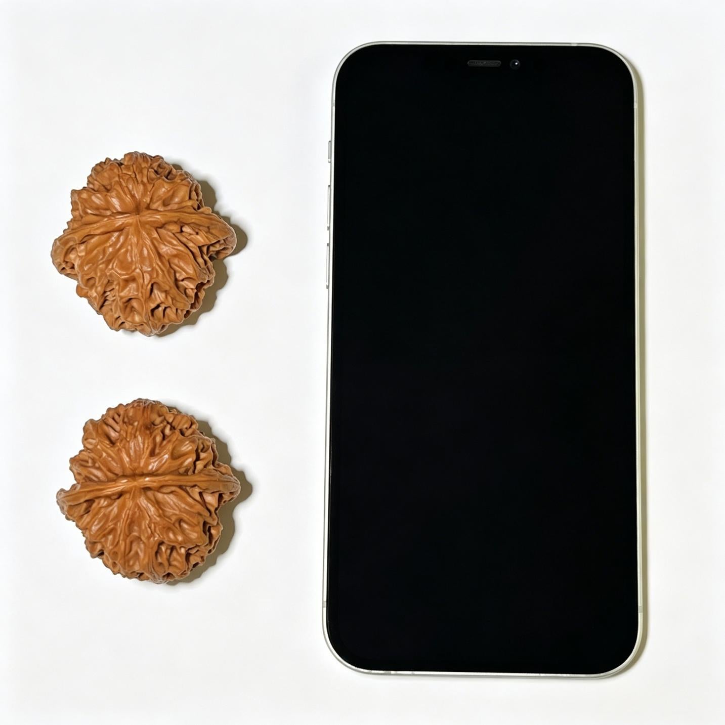 The Exquisite "Concave Base Apple Orchard" Aodi Pingguoyuan Collector Pair | 41.0mm x 40.0mm | ADPGY-1102