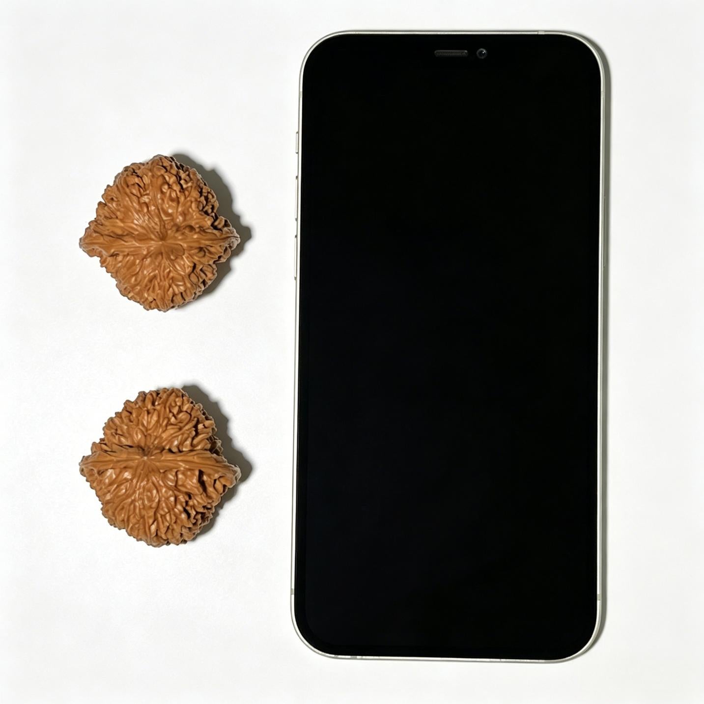 "Starry Sky" Mantianxing Wenwan Walnuts Pair | 37.0mm x 36.0mm | MTX-1105