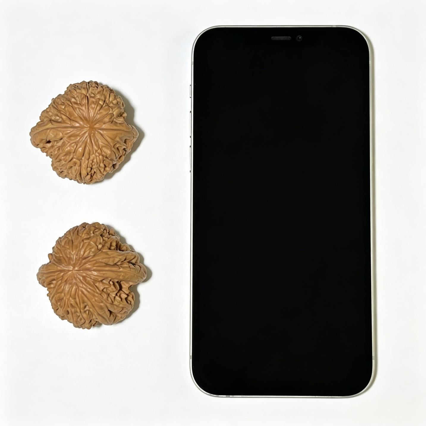 Blizzard Wenwan Walnuts (BX-1103) - Perfectly Paired 42mm x 40mm Antique Culinary Heirlooms, High-Density Wild Mountain Walnut Collection, Zen Meditation Art Gift
