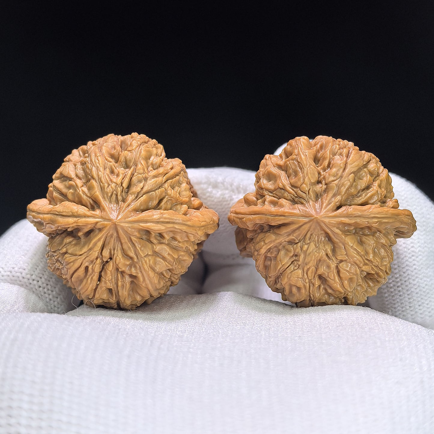 "Rain Flower Stone" Yuhuashi Hand-Twist Shou Nian Wenwan Walnuts (Pair) | 34.0mm x 32.0mm | Stock ID: YHS-1101