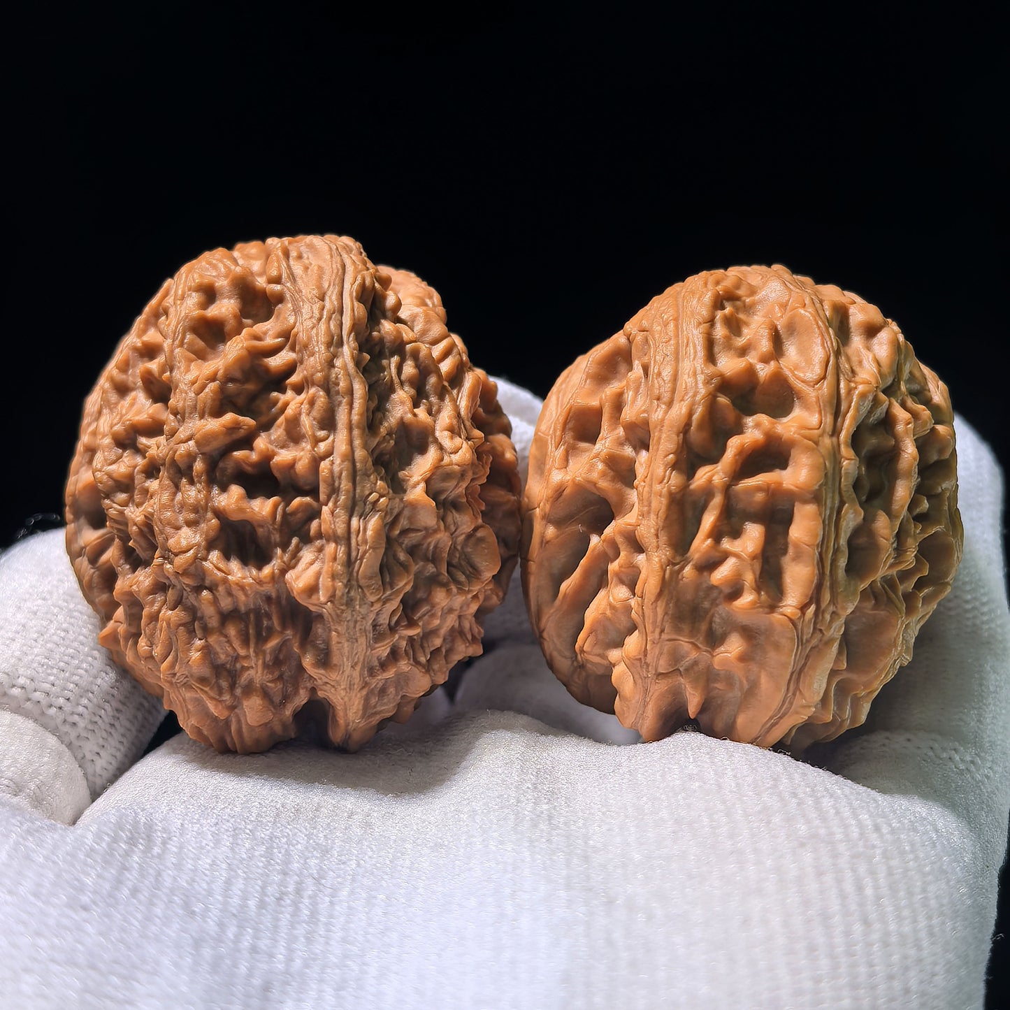 Collector-Grade "Dagu Stone" Snake-Head Treasure Basin (Ju Bao Pen) | 38.0mm x 36.0mm | DKSST-1201E