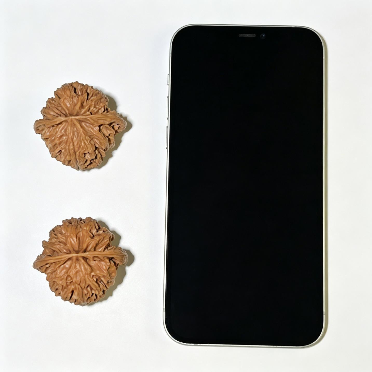 "Apple Garden" Pingguoyuan PGY-1108 Low-Profile Wenwan Walnuts Pair | 41.0mm x 38.0mm | PGY-1108