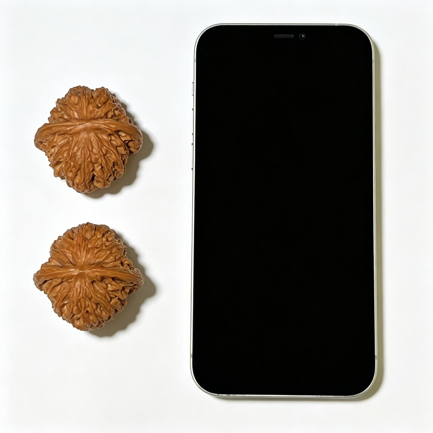 "Millstone" Mopan Wenwan Walnuts (Pair) | 41.0mm x 40.0mm | Stock ID: MP-1112