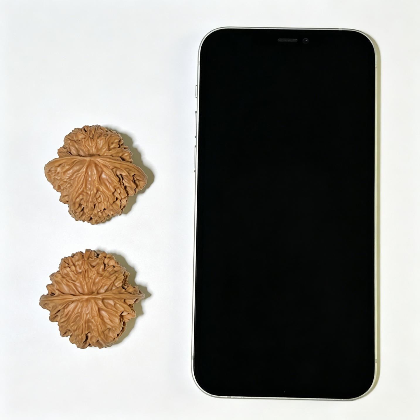 "Apple Orchard Lionhead" Pingguoyuan PGY-1107 Low-Profile Wenwan Walnuts Pair | 39.0mm x 37.0mm | PGY-1107