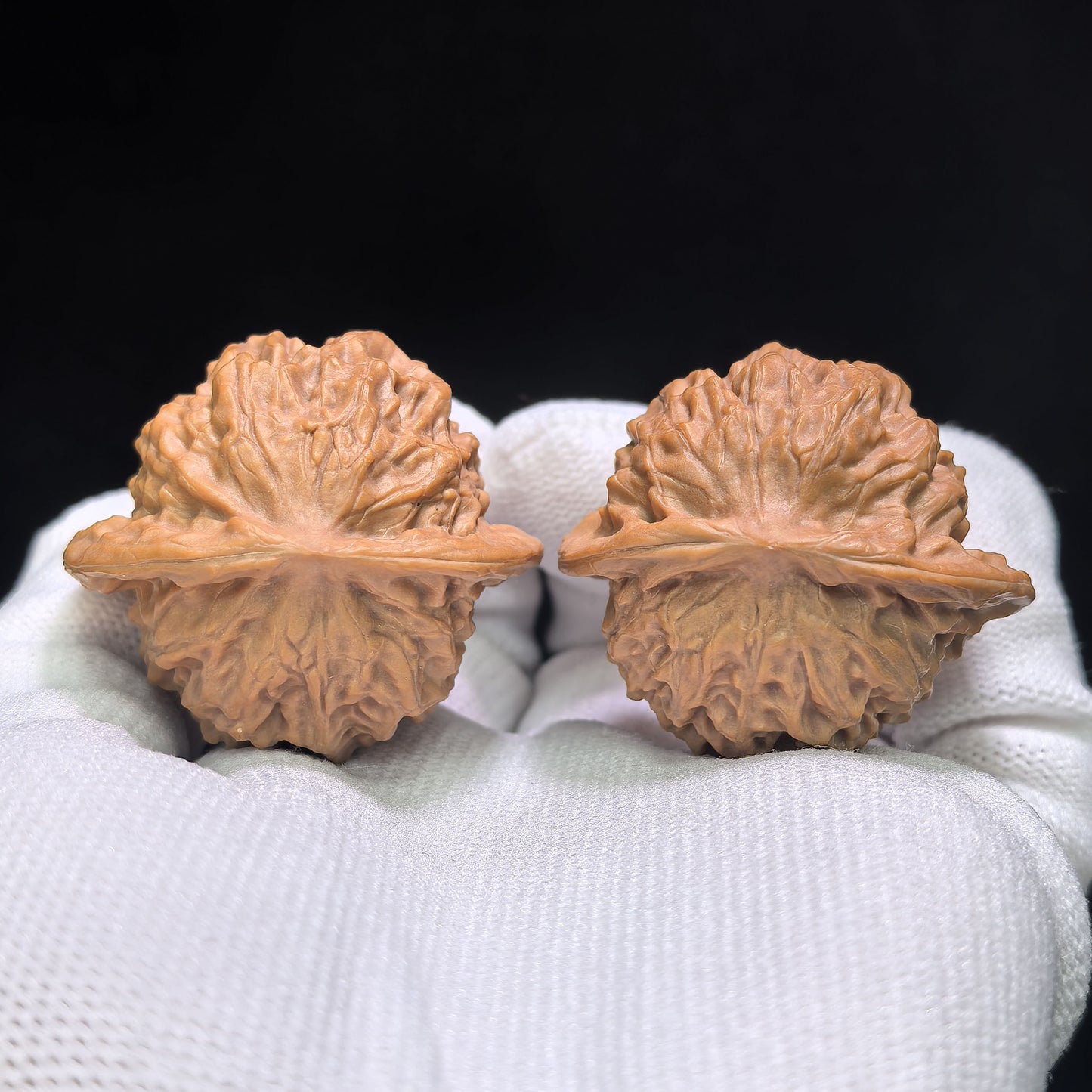 "Porcelain Doll" Ciwawa Wenwan Walnuts Pair | 39.0mm x 36.0mm | CWW-1502C