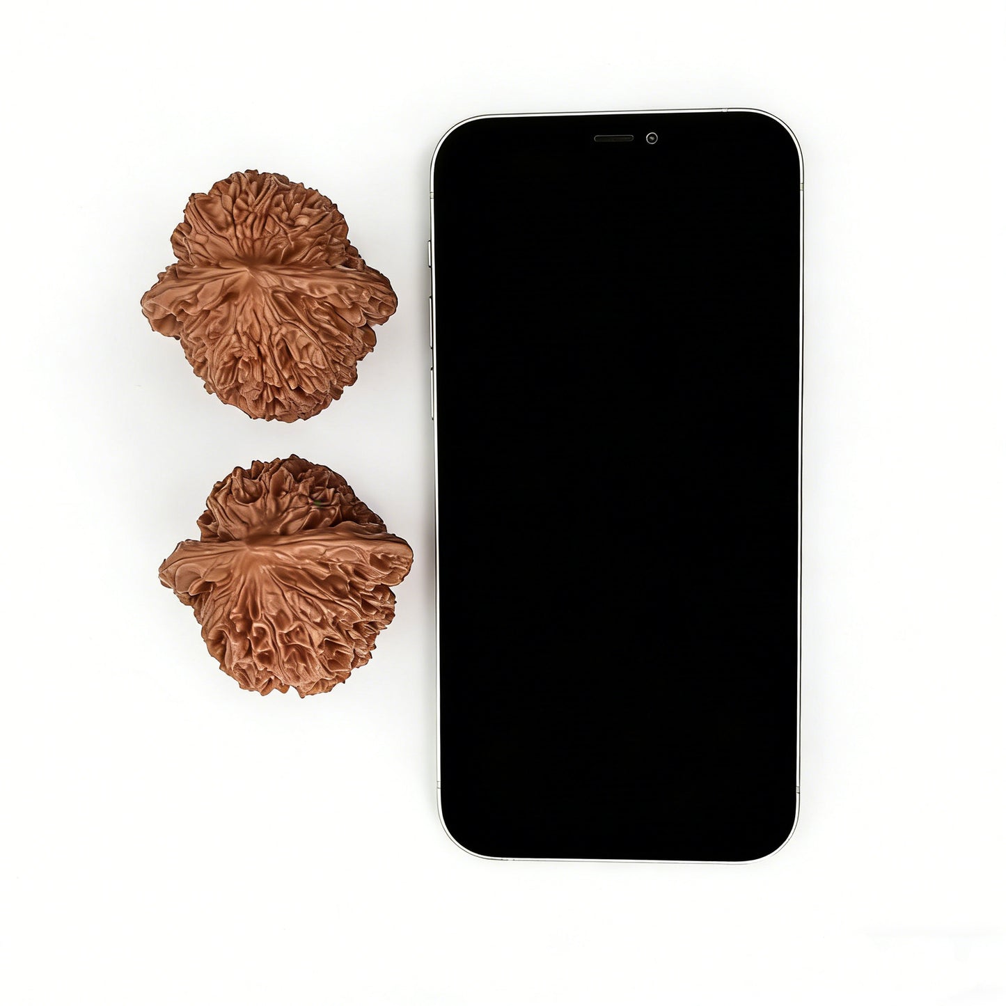 The "Big Thorn" (Da Ci) Pair | 46.0mm x 44.0mm | DC-01