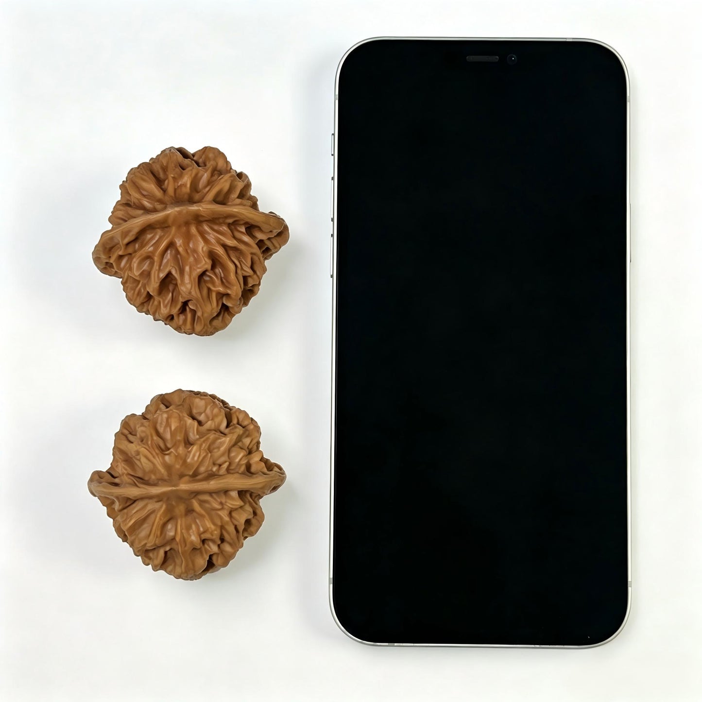 The "Emperor" (Di Wang) Majestic Colossal Giant | 46.0mm x 44.0mm | DW-1101