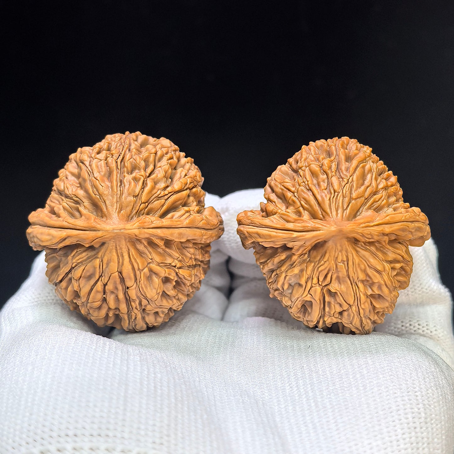 "Water Dragon Texture" Shuilongwen SLW-1501C Low-Profile Wenwan Walnuts Pair | 40.0mm x 41.0mm | SLW-1501C