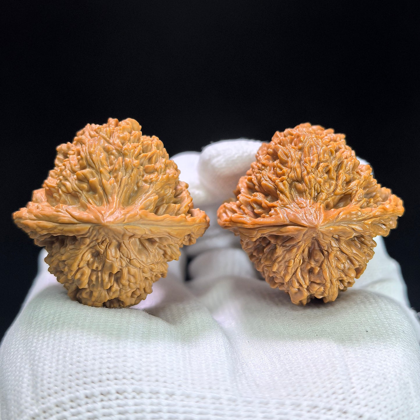 "Peach-Heart Concave Base Starry Sky" Taoxin Aodi Mantianxing Low-Profile Wenwan Walnuts Pair | 38.0mm x 37.0mm | MTX-1404