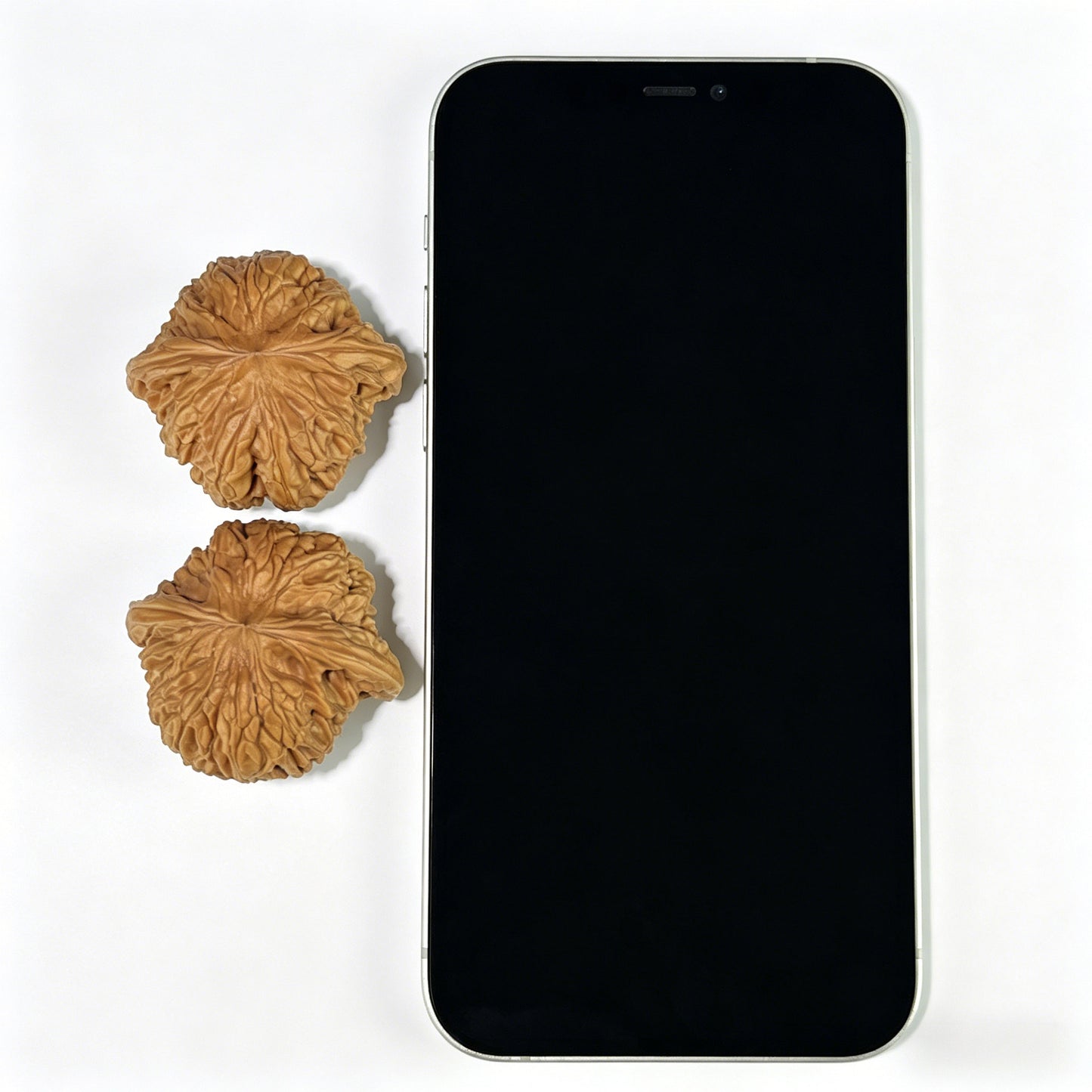 The "Millstone" (Mo Pan) Ergonomic Giant Pair | 40.0mm x 38.0mm | MP-804