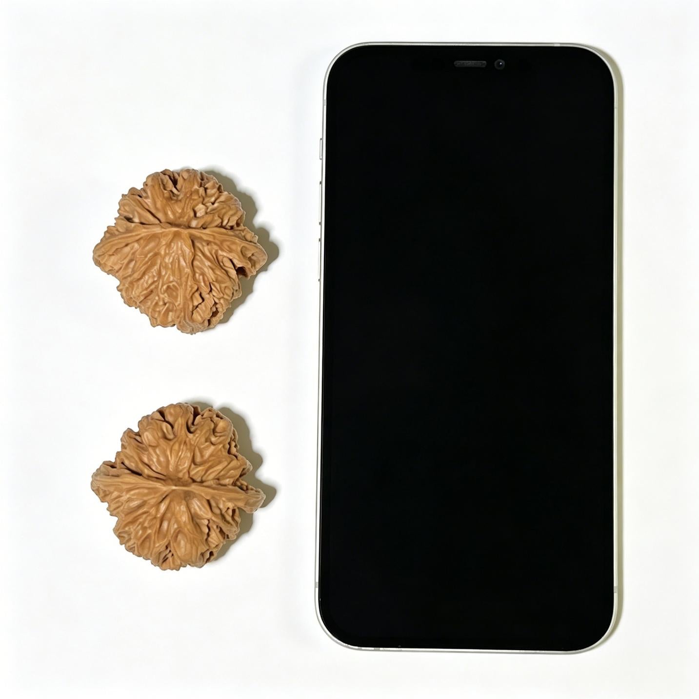 The "Concave Base Apple Orchard" (Ao Di Pingguoyuan) Premium Low-Profile Pair | 41.0mm x 39.0mm | Classic Ingot Posture | ADPGY-1101