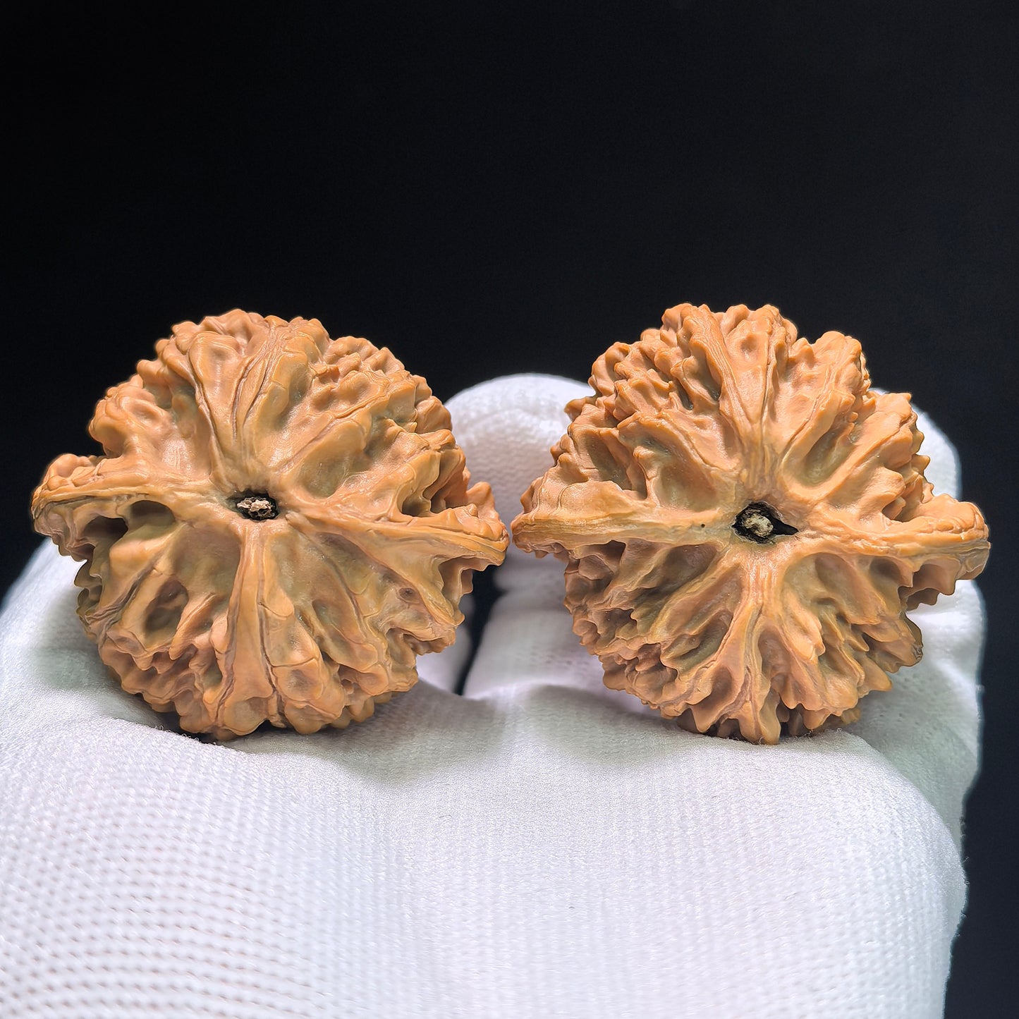 The Premier "Apple Orchard" (Ping Guo Yuan) Ultra-Squat Pair | Boutique Grade | 44.0mm x 37.0mm | PGY-403