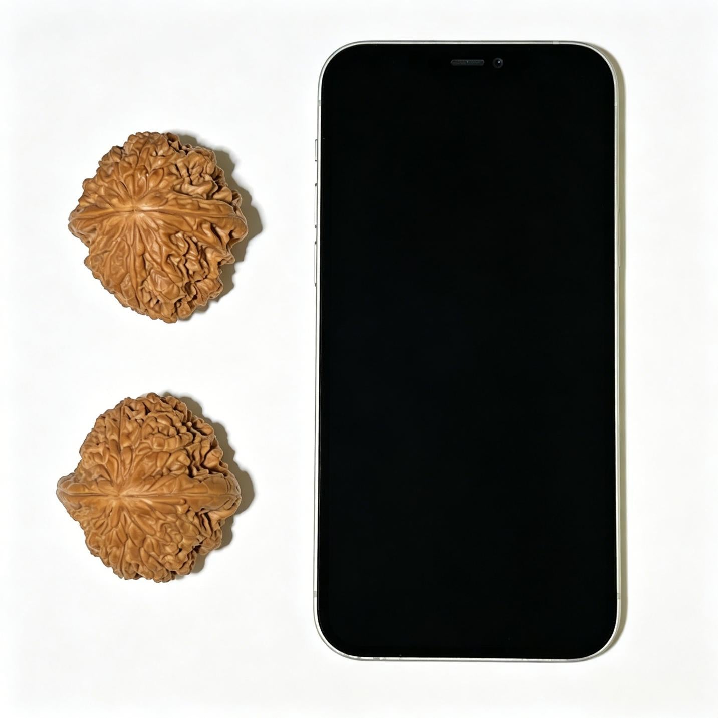 "Blizzard" Baixue Wenwan Walnuts Standard Pair | 41.0mm x 44.0mm | BX-1107