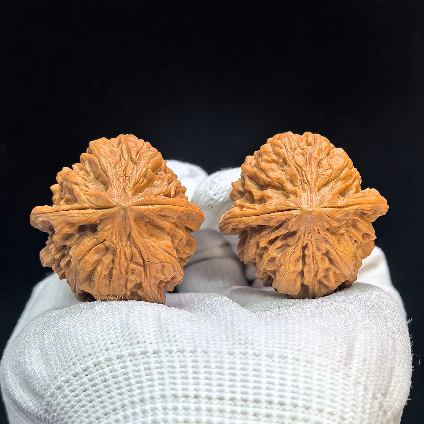 "Jiulong Valley" Jiulongyu Wenwan Walnuts (Pair) | 38.0mm x 38.0mm | Stock ID: JLY-1501C