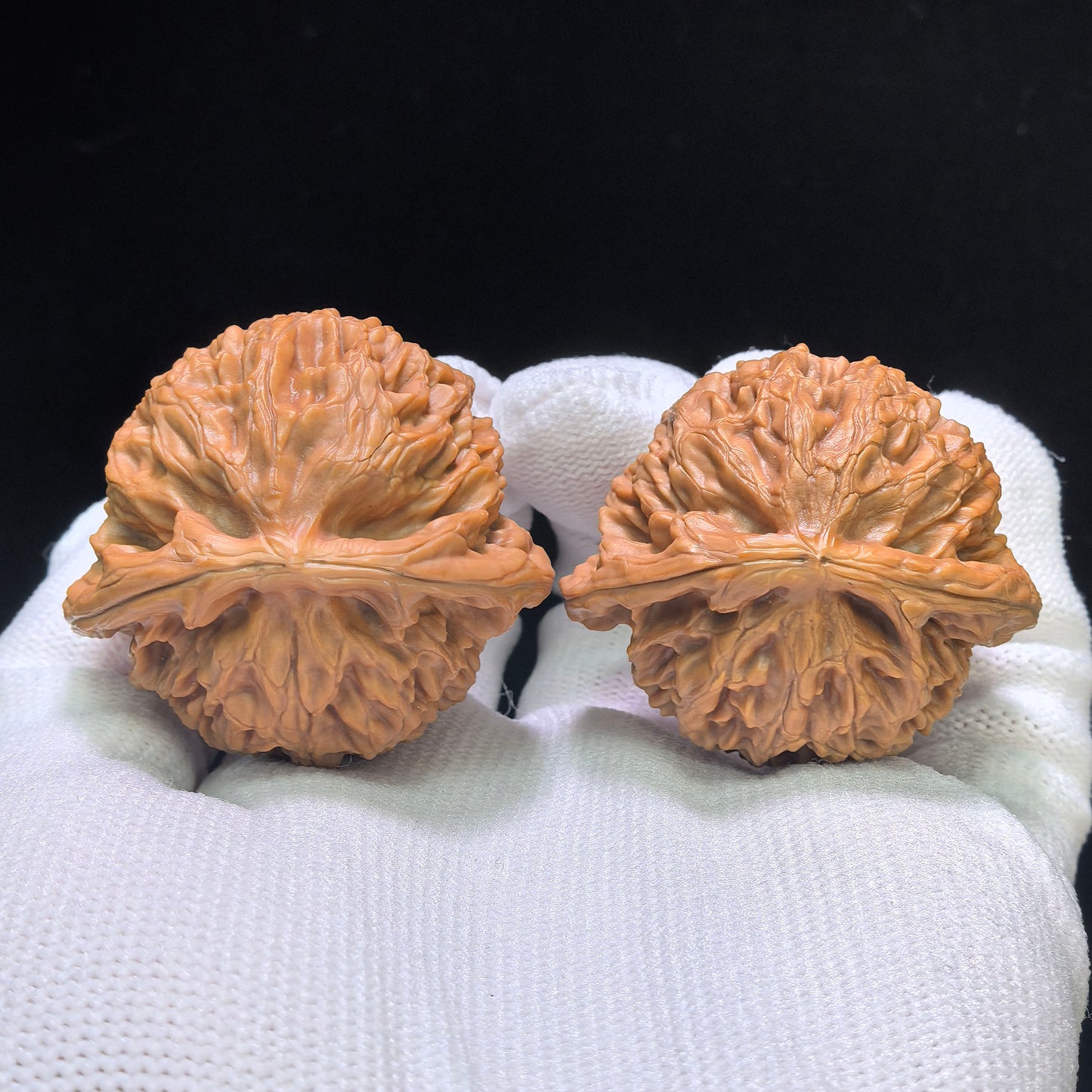 "Palace Lantern Flying Snake Turtle Back" Gdfsgb-CG219E Wenwan Walnuts Pair | 40.0mm x 38.0mm | GDFSGB-CG219E