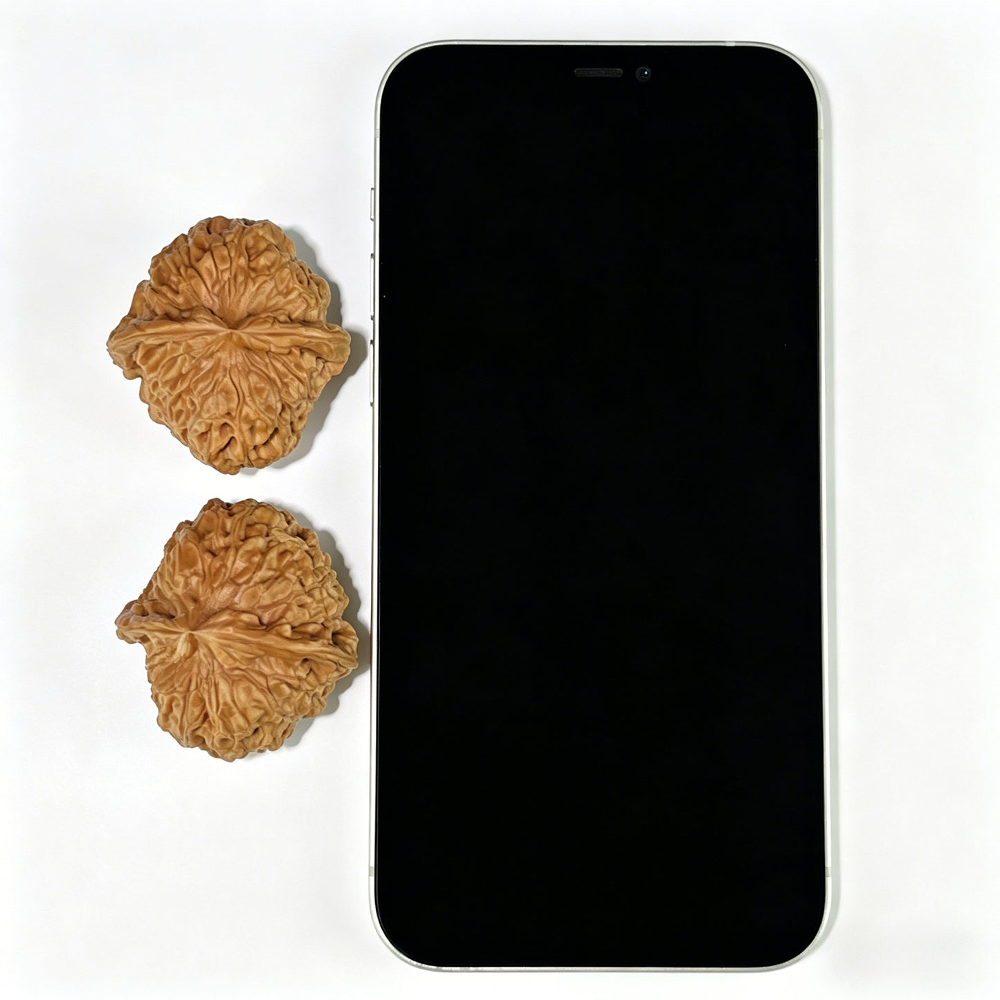 The "Squat Pumpkin" (Nan Gua Dun) Deep-Bellied EDC Pair | 37.0mm x 40.0mm | NGD-801