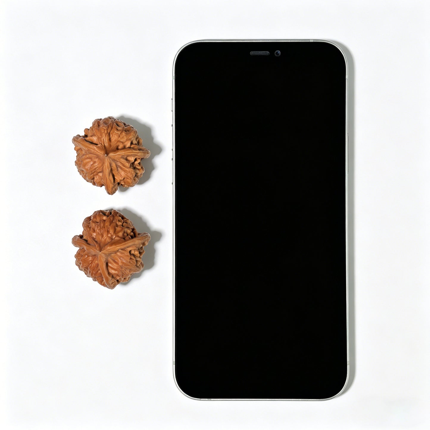The "Long Zhan" (Dragon Gall) Trident Three-Ridge Pair | 31.0mm x 31.0mm | LZSN-1201E