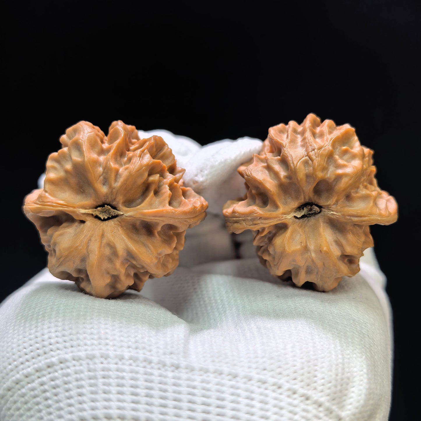 "Cao Dalong" Cao Dalong CDL-1601 Low-Profile Wenwan Walnuts Pair | 35.0mm x 36.0mm | CDL-1601