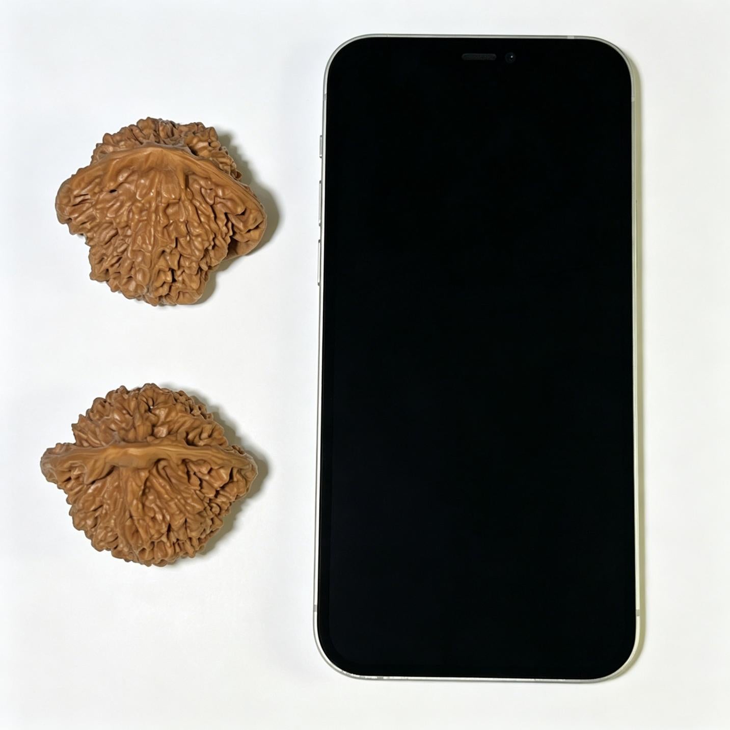 "Official Hat" Guanmao Wenwan Walnuts Pair | 46.0mm x 38.0mm | GM-1106