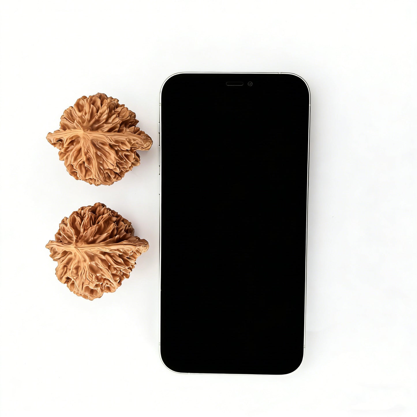 The "Imperial Grand Flower" (Diwang Zhonghua Dahua) Pair | 44.0mm | DWZHDH-01