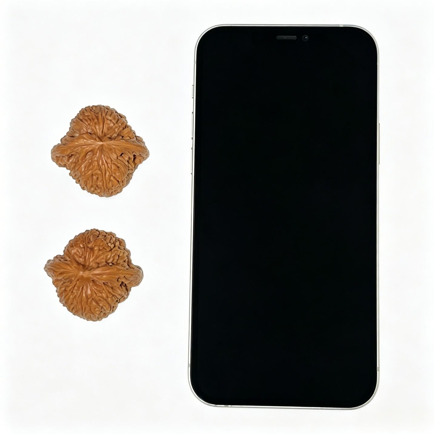 Nanjiangshi Scholar Walnuts Pair | 37.0mm x 34.0mm | Stock ID: NJS-1102