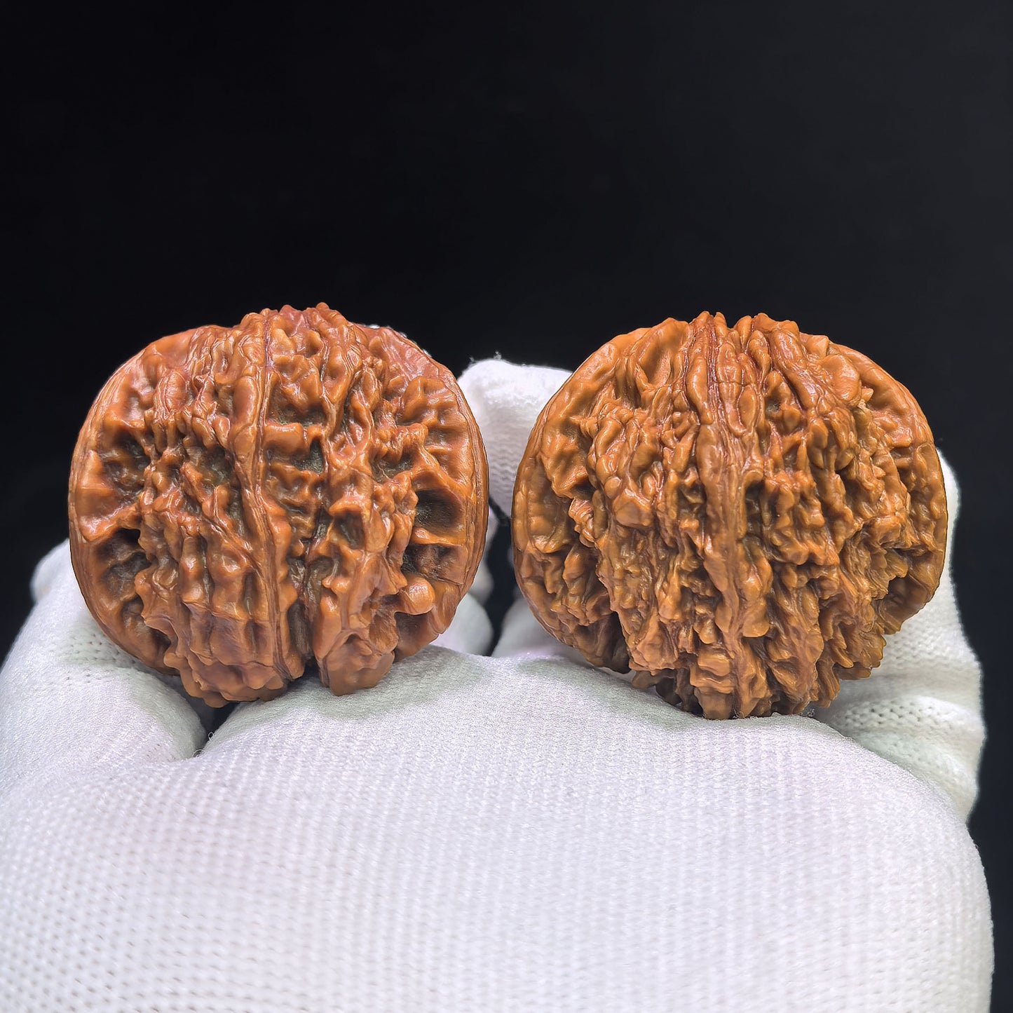"The Serpent King & Queen" (Shewang Shehou) Scholar Walnuts Pair | 41.0mm x 35.0mm | Legendary Heritage Matching | Exclusive Collector Grade Masterpiece | Stock ID: SWSH-C01E