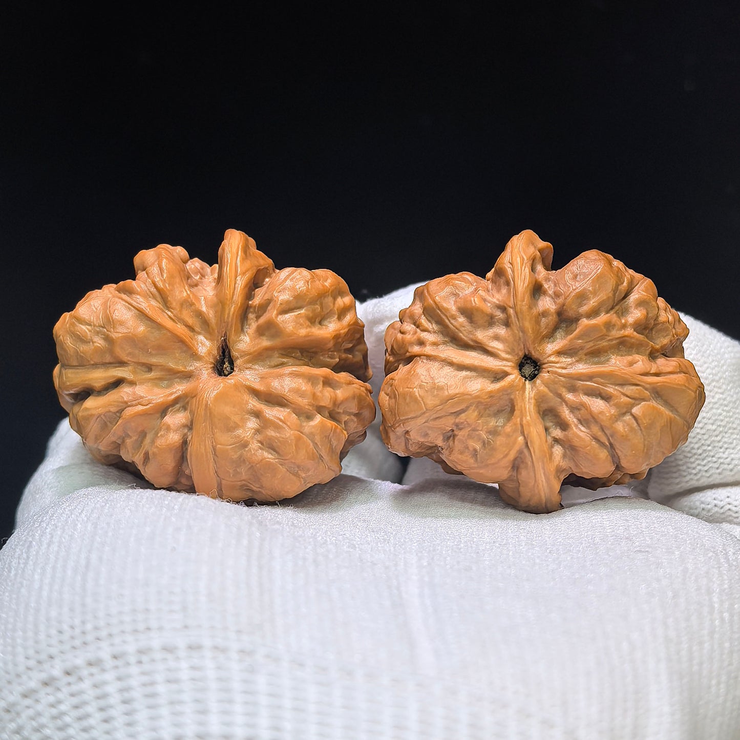 "Toad Head Hawk-Beak Vulture" (Hamatou Yingzui Zuoshandiao) Scholar Walnuts Pair | 37.0mm x 41.0mm | Inverse Deep-Belly Profile | Singularities Grade Masterpiece | Stock ID: HMTYZZSD-CG202E