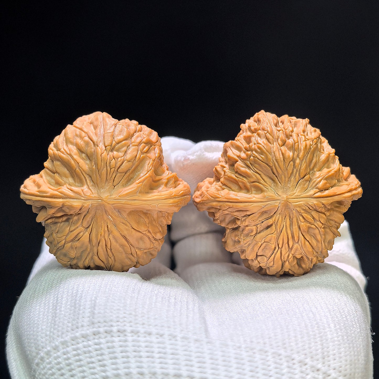 "Wild Millstone Angel Wings" Ye Mopan Tianshi Zhiyi Wenwan Walnuts (Pair) | 40.0mm x 40.0mm | Stock ID: YMPTSZY-1401