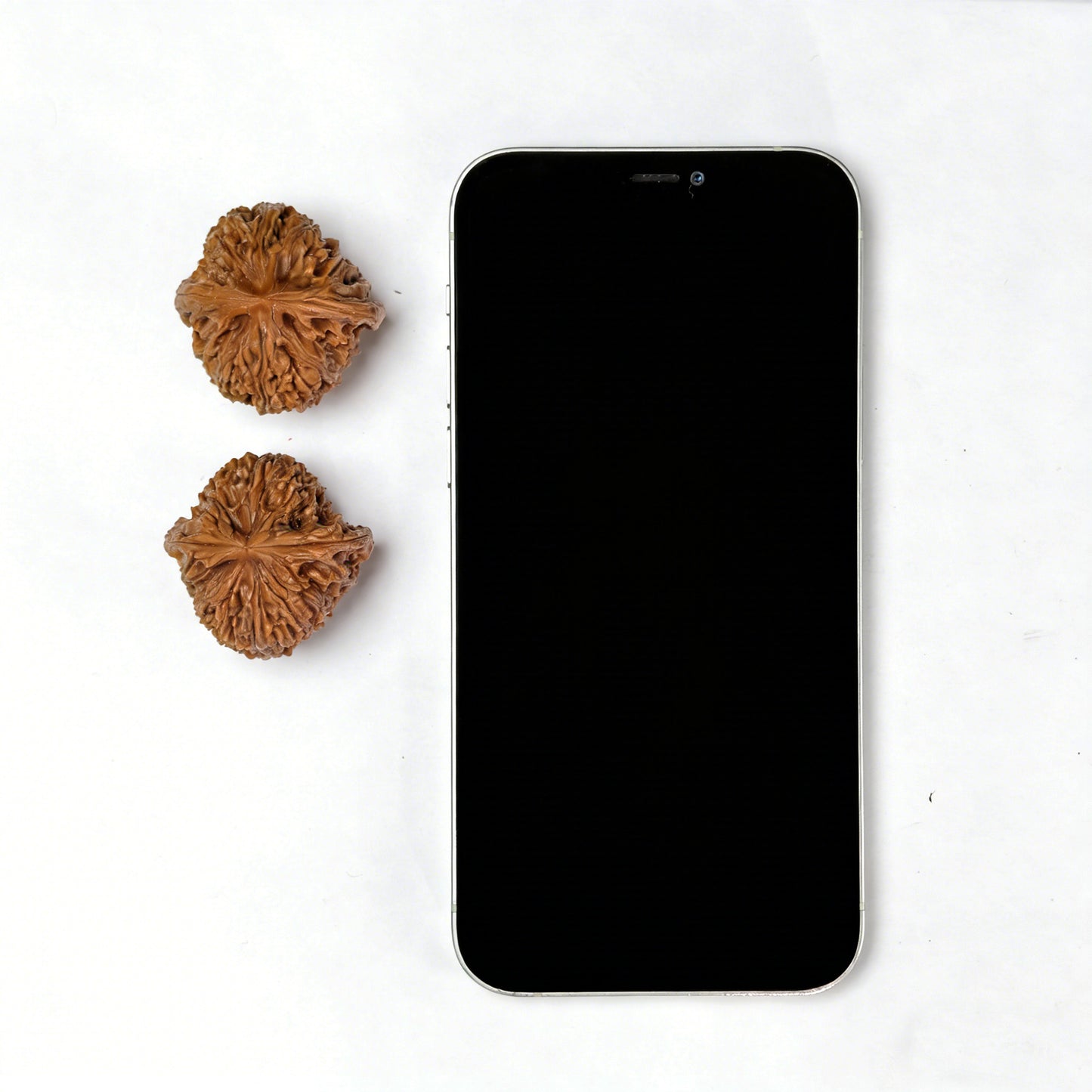 The "Old Tree Red Skin" Nan Jiang Shi Pair | 35.0mm x 35.0mm | NJS-503