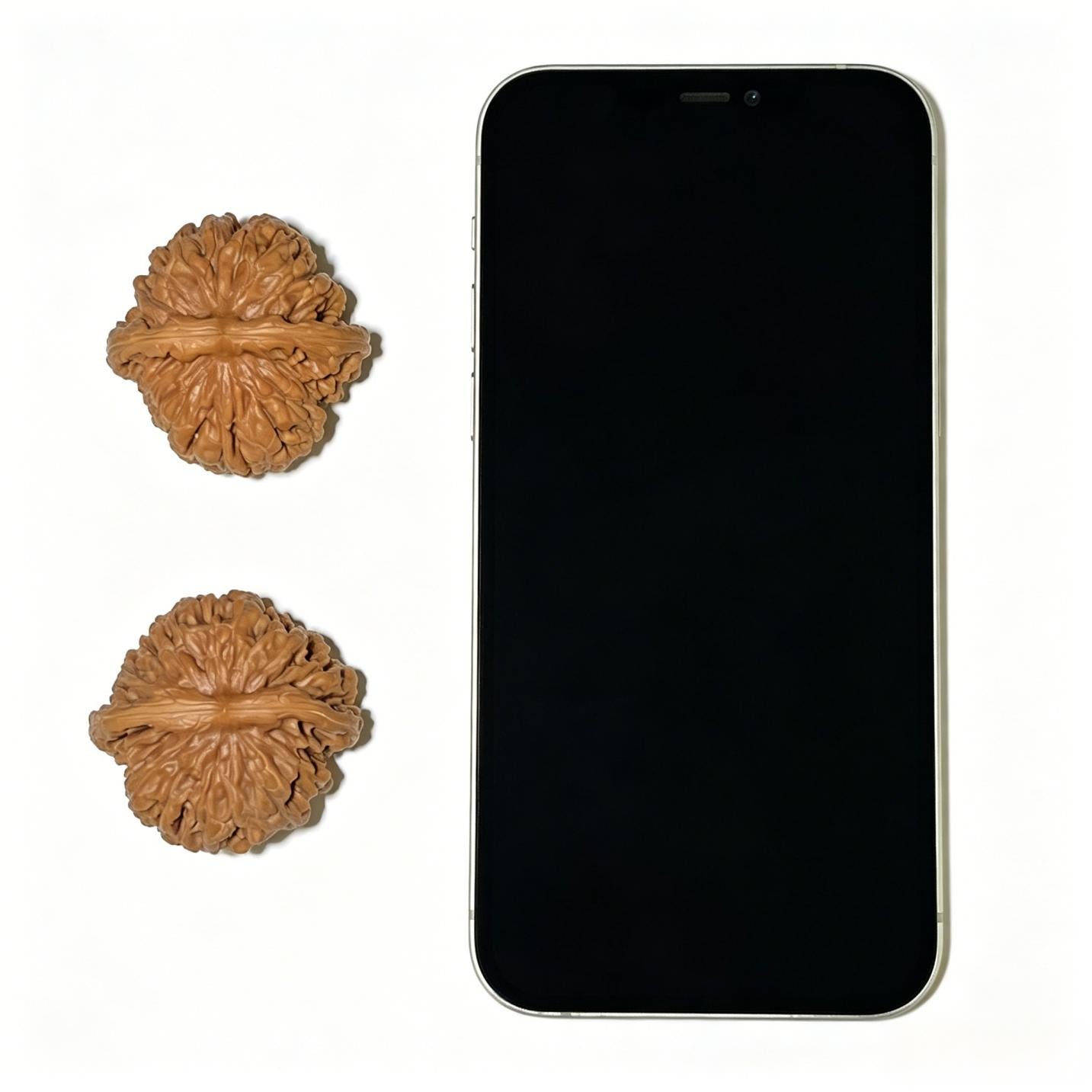 Sizuolou Lion Head (Si Zuo Lou) Scholar Walnuts Pair | 40.0mm x 40.0mm | Stock ID: SZL-1101