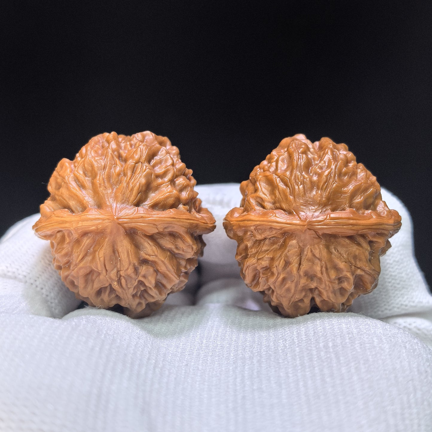 "Pocket Porcelain Doll" Miniature Ciwawa Wenwan Walnuts (Pair) | 34.0mm x 35.0mm | Stock ID: CWW-1506C