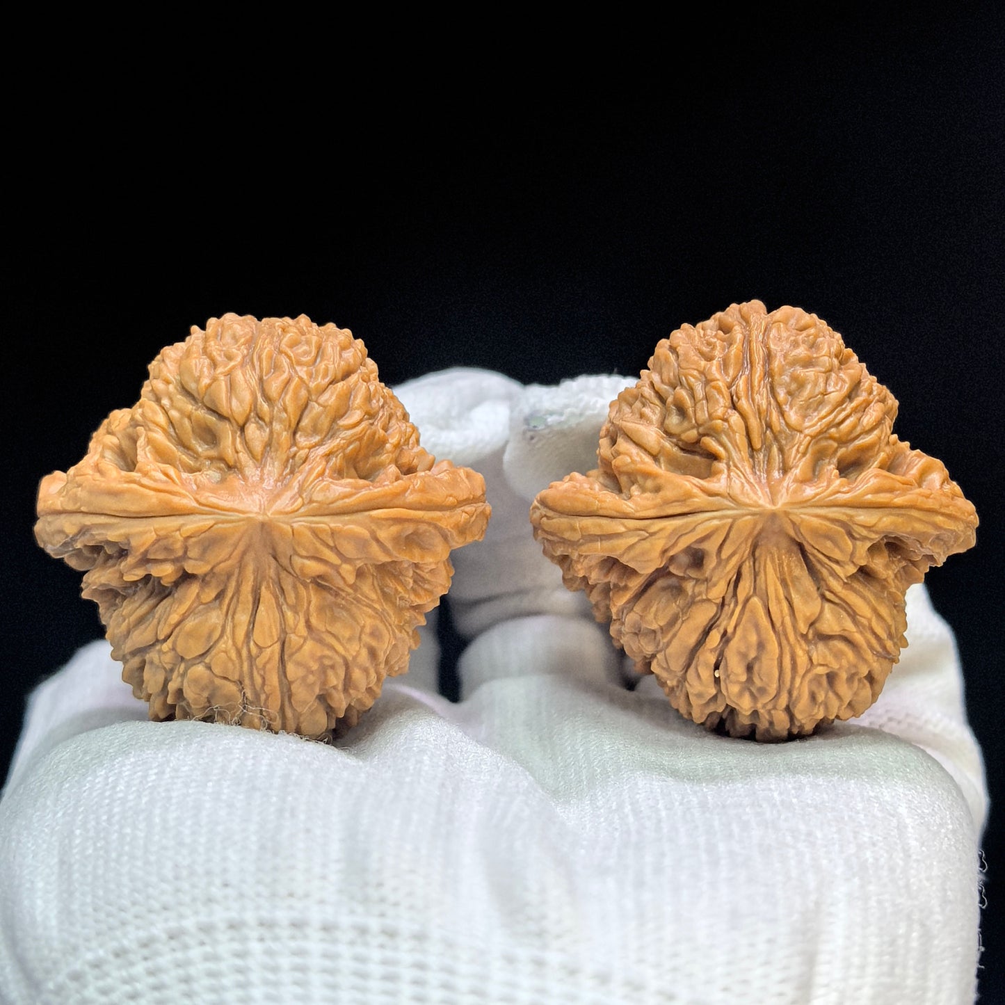 "Spherical Nanjiangshi Lionhead" Qiuxing Nanjiangshi NJS-1502C Low-Profile Wenwan Walnuts Pair | 41.0mm x 41.0mm | NJS-1502C