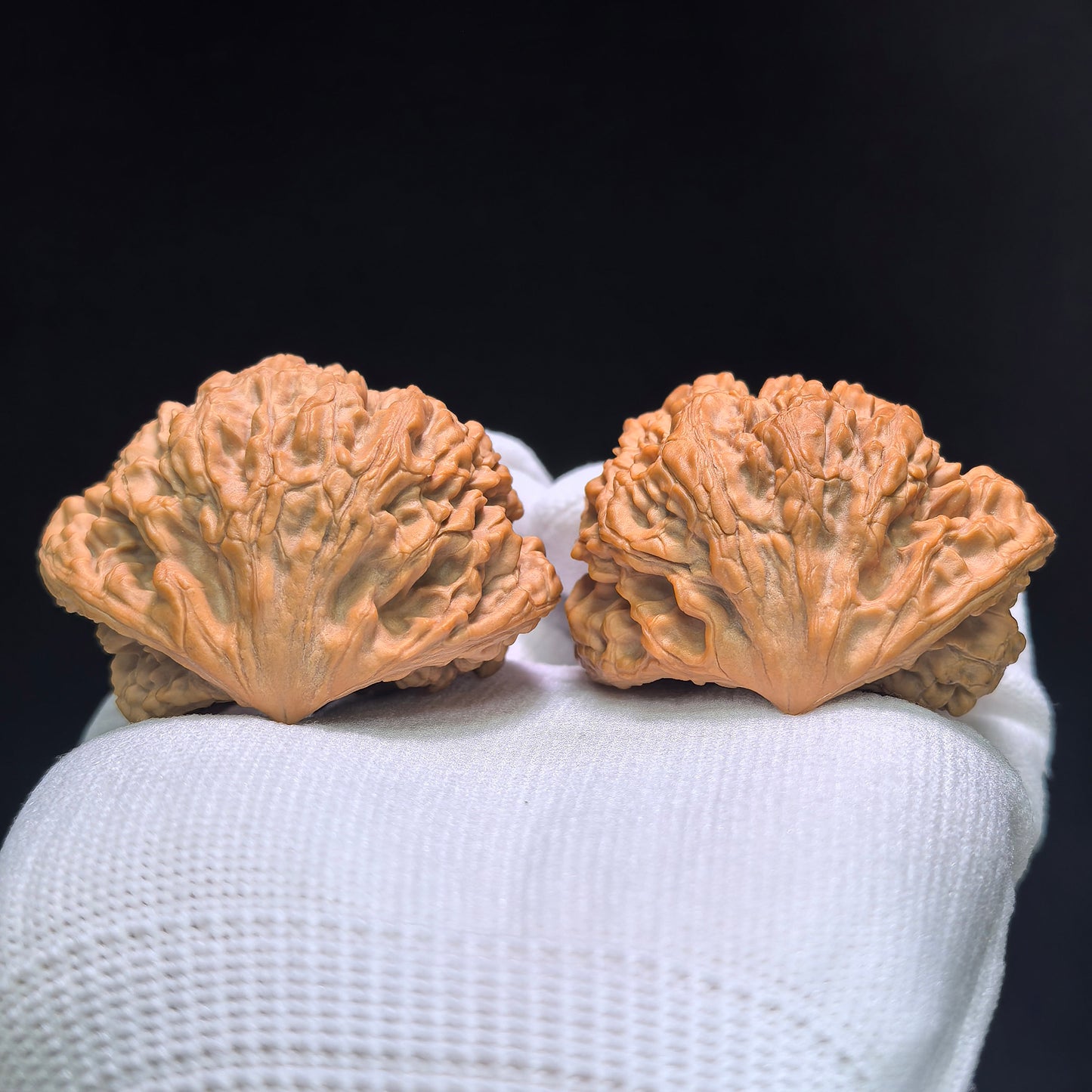 The Monumental "Snake King" Collector Masterpiece | 50.0mm x 33.0mm | SW-1401E