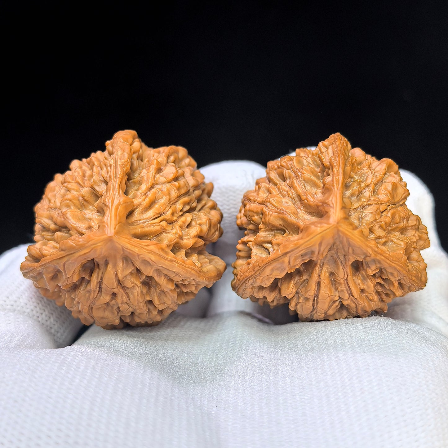 Three-Ribbed Official's Hat (Guanmao Sanling) Scholar Walnuts Pair | 38.0mm x 33.0mm | Collector Grade Masterpiece | Stock ID: GM-801S