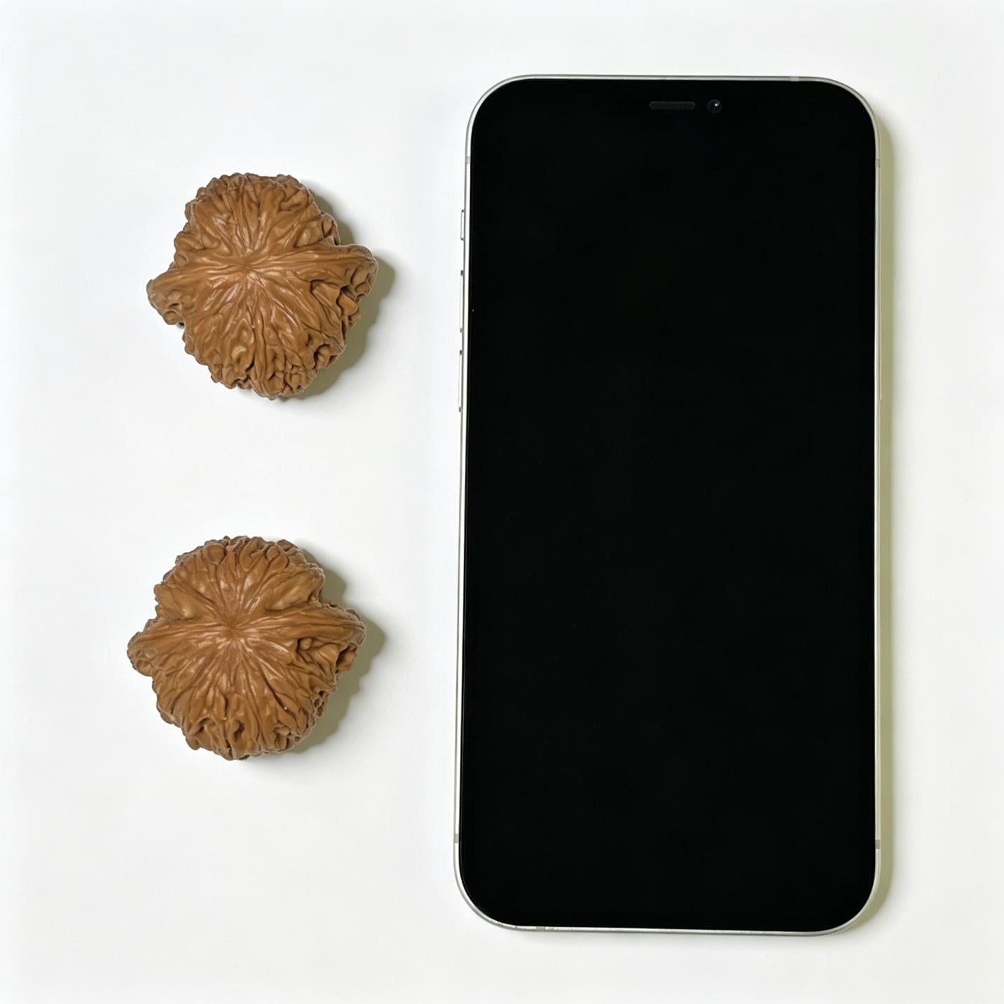 The "Ancient Millstone" (Mo Pan) Select Miniature Scholar Walnuts | 39.0mm x 38.0mm | Compact Shou Nian Format | MP-1108