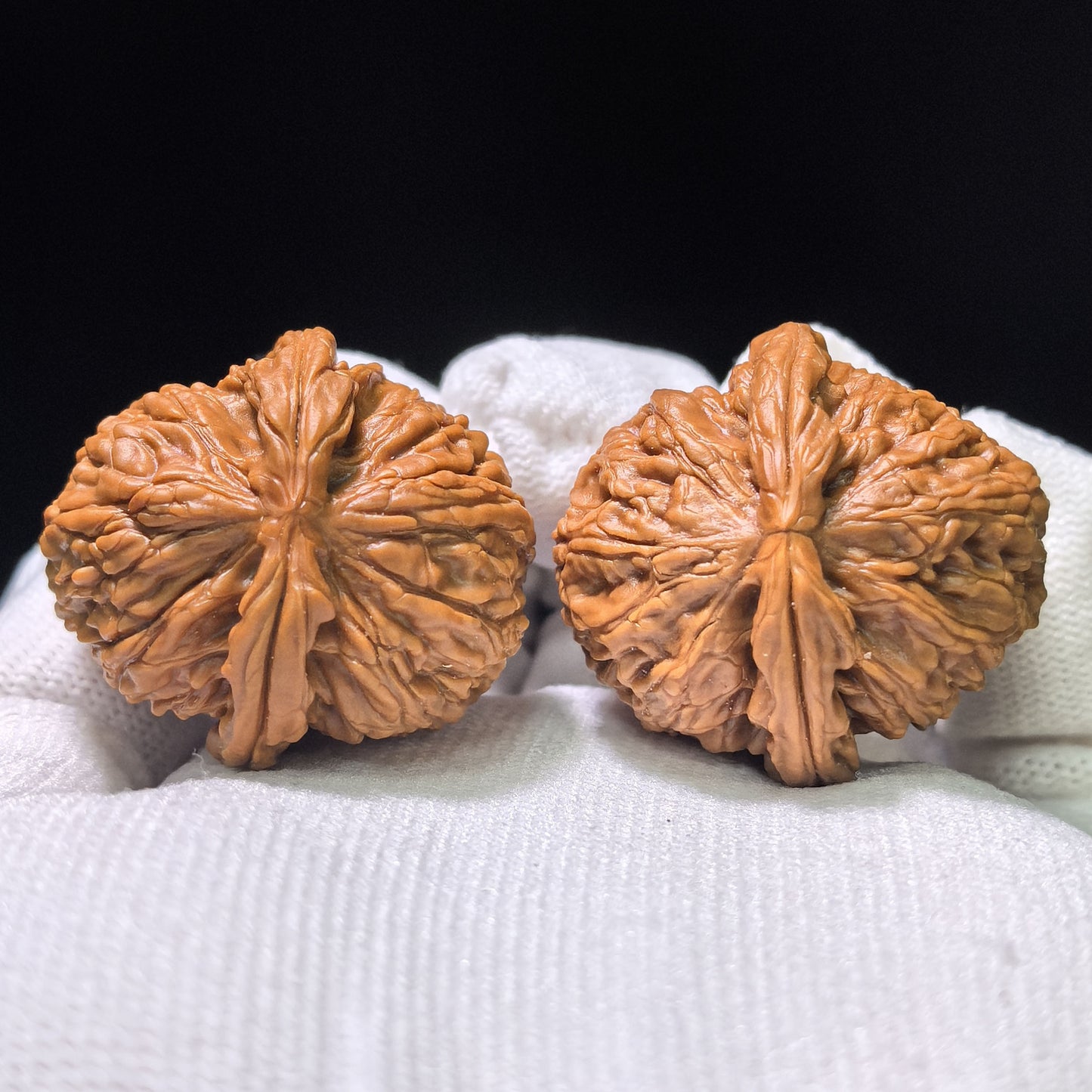The Spectacular "White Lion Head Half-Wall" Baishizi Banbi Pocket Masterpiece | 34.0mm x 35.0mm | BSJBB-402E